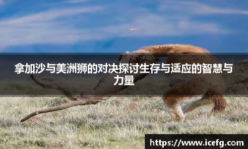 米兰体育平台